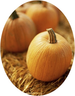 pumpkin round.jpg